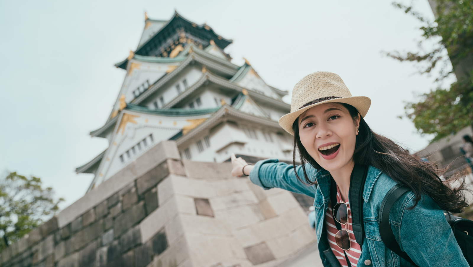 Japan Tourist Visa